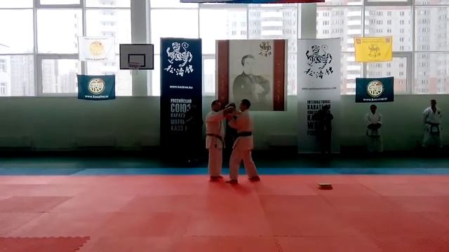Kakushiken-beak of a crane Tameshiwari two boards / Uechi ryu karate смотреть онлайн
