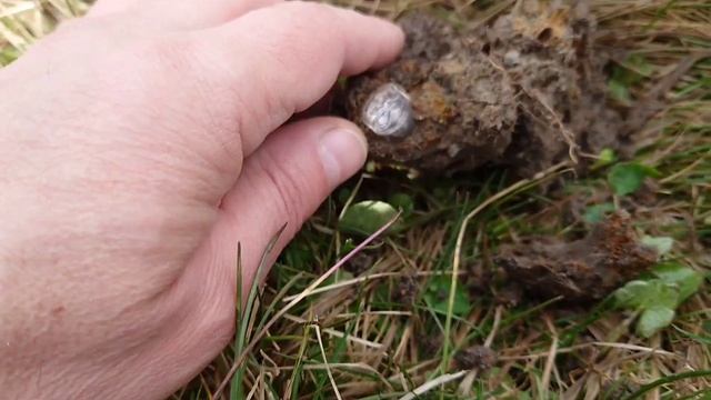 XP DEUS 2. Программа 1. Лучше поздно, чем иногда. Сбылась мечта, идём к следующей! #xpdeus2