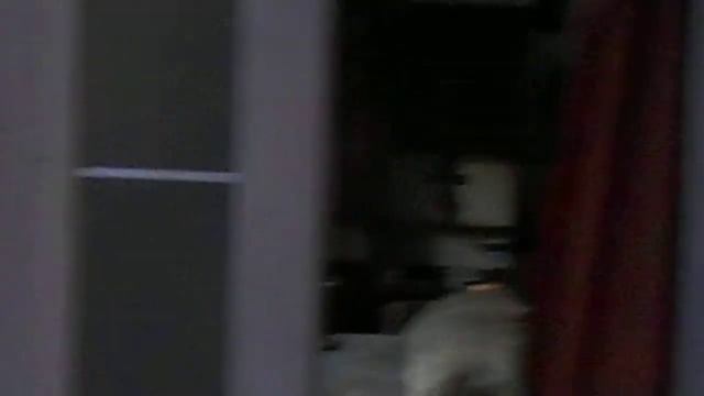 Евро-забор и перестройка веранды. 10.08.2020 смотреть онлайн