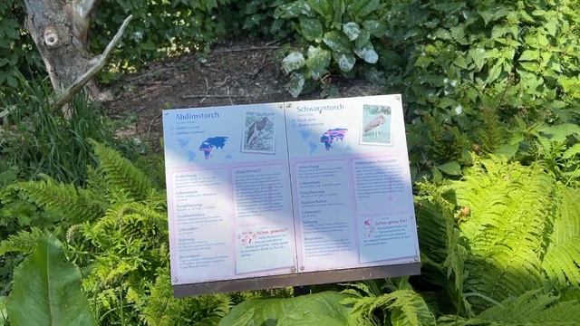 Уехали к родителям. Мюнстер. Зоопарк в Германии. смотреть онлайн