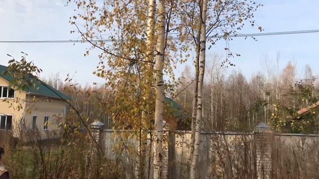 ПРОДАН Участок 24 сотки п Новоселки ( Левашово), Санкт-Петербург смотреть онлайн