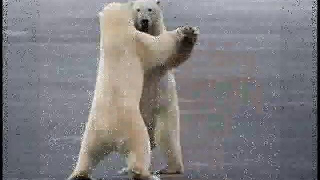 MIDI Mini-Tango- Original Composition смотреть онлайн