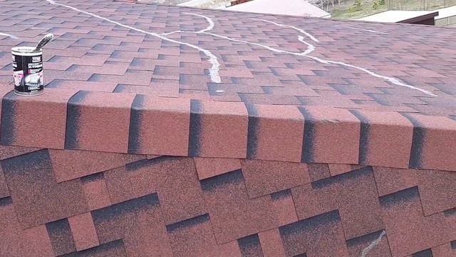 Что произошло с Катепалом через 15 лет.