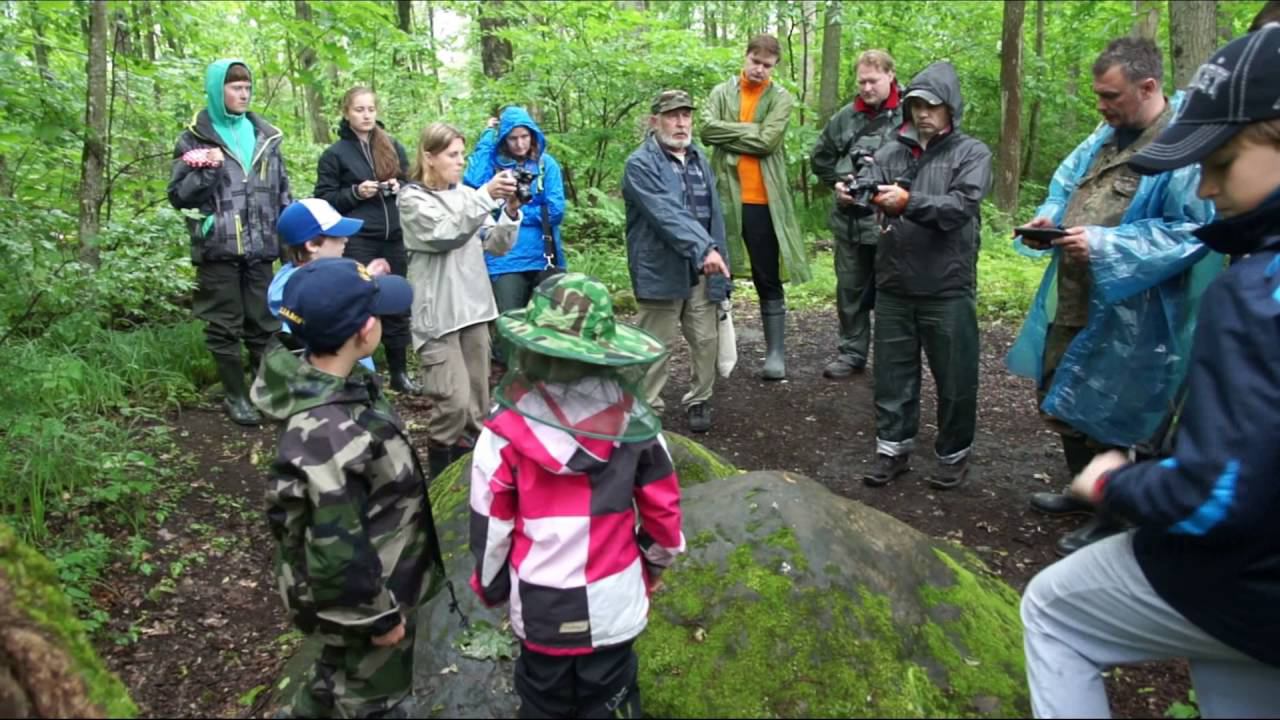 Чертово городище смотреть онлайн
