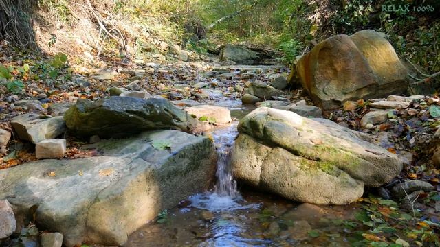 4K ЧАРУЮЩИЙ ГОРНЫЙ РУЧЕЙ и Лесная флейта для души - медитация для начинающих смотреть онлайн