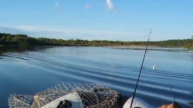 Yamaha 8 + Адмирал 320 S смотреть онлайн