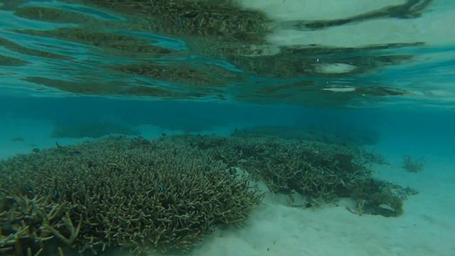 Gili Lankanfushi 2014 смотреть онлайн