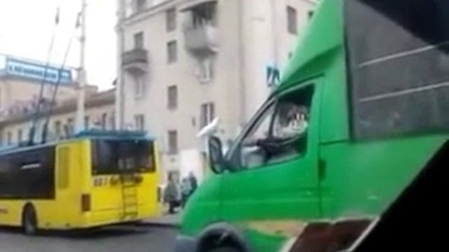 Прикол)) Водитель кормит голубей!!! смотреть онлайн