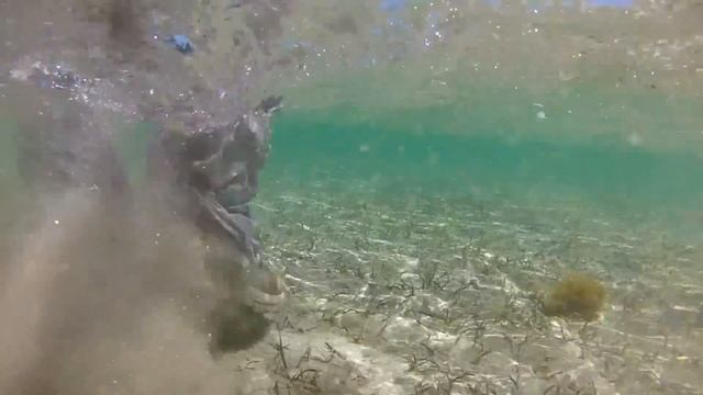FLY FISHING SALTWATER FOR BONEFISH BY TODD MOEN смотреть онлайн