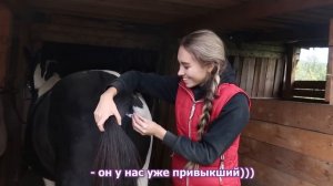 МОЙ ДЕНЬ на КОНЮШНЕ с Хардином / Лечу лошадь