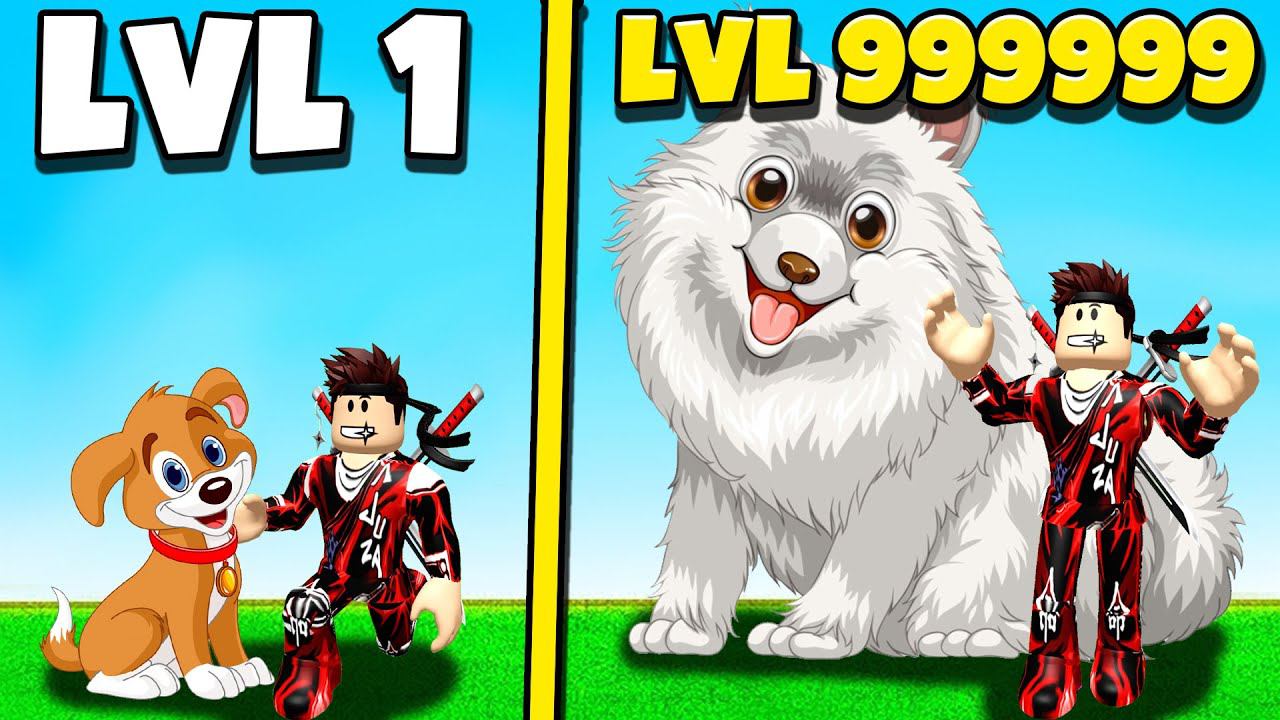 ПОСТРОИЛ СОБАЧИЙ ПРИЮТ 999999999 УРОВНЯ В РОБЛОКС