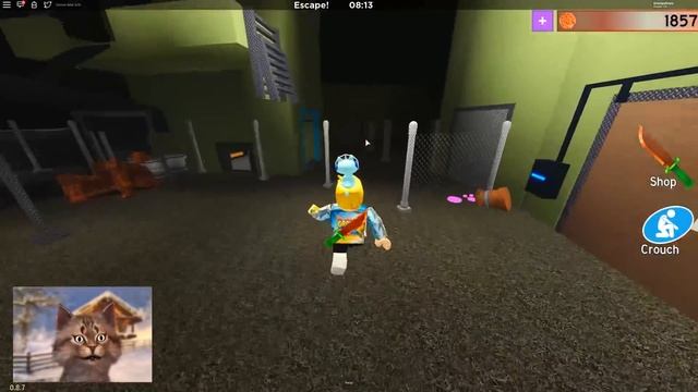 THEY ADDED A PIGGY CHARACTER!! (Roblox Bakon) смотреть онлайн
