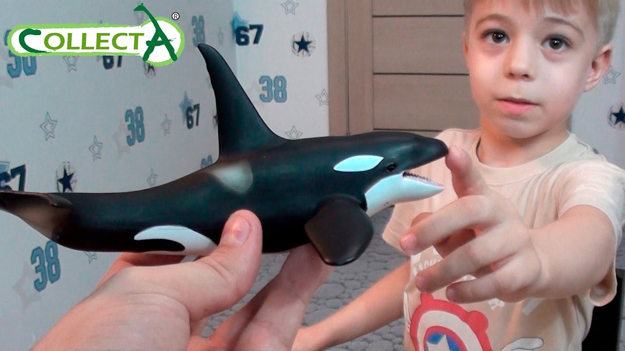 Collecta - фигурки животных от Gulliver. Морские животные. смотреть онлайн