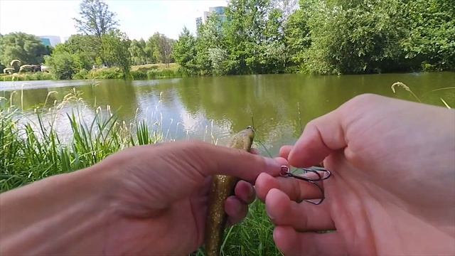 Топ приманок. Часть 5. Крупный силикон Strike pro Pig shad Jr. смотреть онлайн