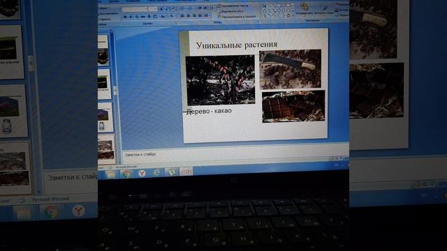 Видеоурок Южная Америка. смотреть онлайн