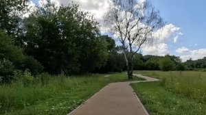 Многодетная мать купила у бродяги рюкзачок сынишке к школе… А заглянув внутрь, не поверила глазам