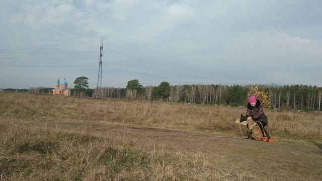 Малина 5,5 мес Гарза