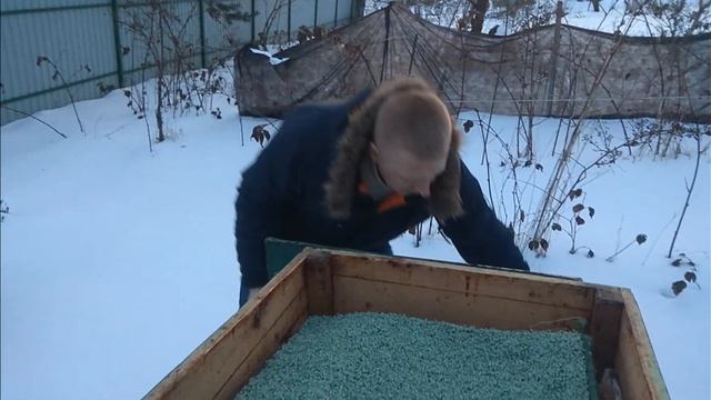 Пасека с нуля. Первая зимовка.