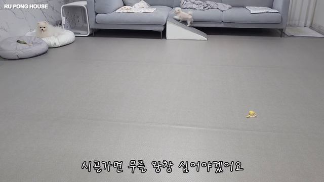 이번 생은 이렇게 살기로 했다. [루퐁이 일상 V-LOG] смотреть онлайн