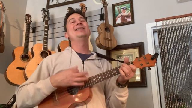 Mama I’m Coming Home Ukulele Cover - Ozzy Osbourne Ukulele смотреть онлайн