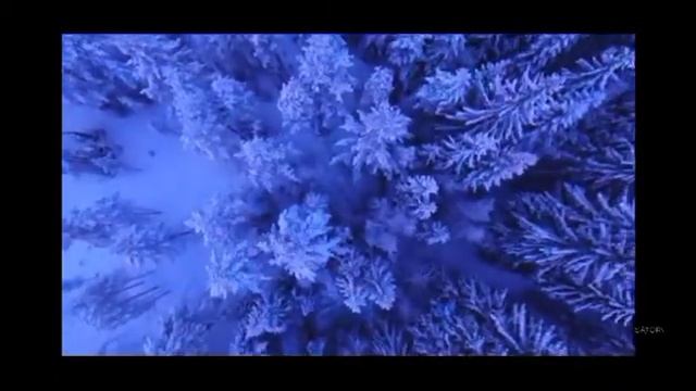 Марсель Мессинг о добре и зле. Перевод Satori смотреть онлайн