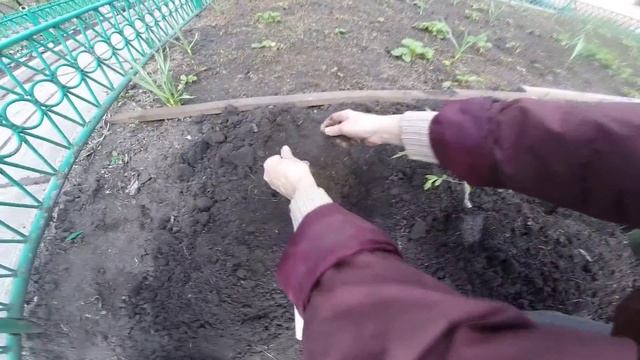 Высаживаем помидоры в открытый грунт смотреть онлайн