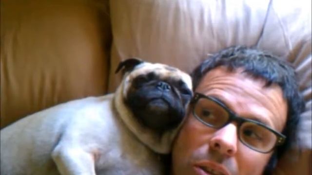 Пес усмирил хозяина во сне! смотреть онлайн