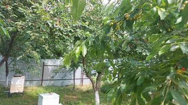 Приключения на Воде