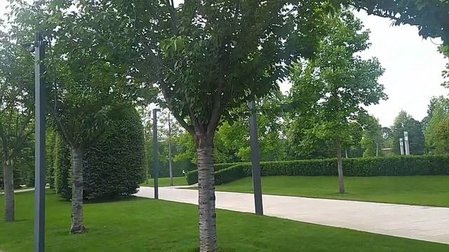Прогулка по парку Галицкого и возвращение на поезде в Санкт-Петербург 17-19 июня 2023 смотреть онлайн