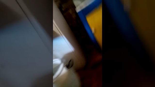 2ой холодный запуск спустя 2 недели лодочного мотора hdx-5.лс смотреть онлайн