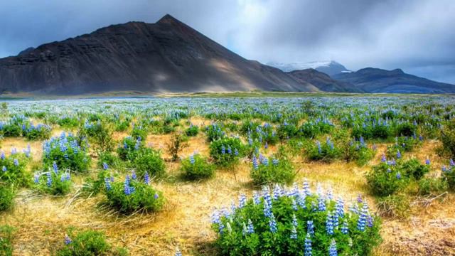 🌺ЧТО ТАКОЕ СУЩНОСТЬ🌺. смотреть онлайн