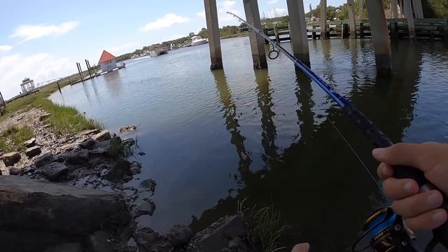 You're NOT Supposed to Eat this Fish.. but I did (Catch and Cook) Bridge Fishing смотреть онлайн