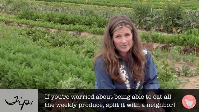 What is Community Supported Agriculture (CSA's) ? смотреть онлайн