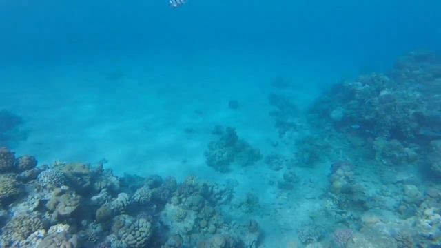 Египет. Шарм эль Шейх. Море и египетский гуляш. смотреть онлайн