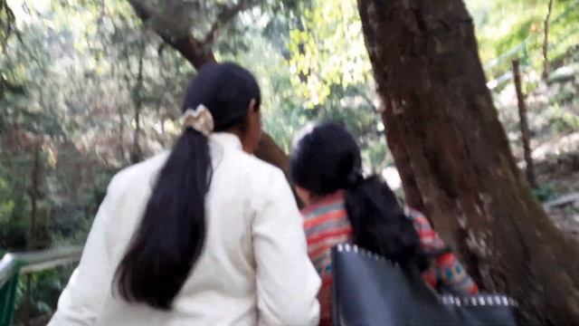 woodland waterfall sariyatal Nainitaal смотреть онлайн