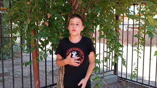 Коренев Ярослав, 13 лет, Н.М. Рубцов "Ласточка" смотреть онлайн