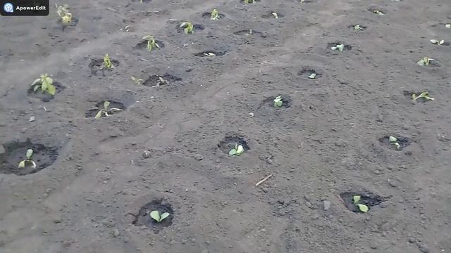 ПЕРЕЕЗД В РОССИЮ/КАК МЫ ОТМЕТИЛИ ДЕНЬ РОЖДЕНИЯ/КУПИЛИ ДОМ В ДЕРЕВНЕ/КОСИМ ТРАВУ/ смотреть онлайн