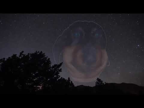 Dawgdebik и MightyPoot оценивают мемы с конкурса [12.08.2020]