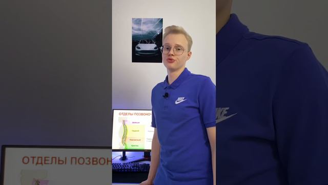 Боль при повороте головы? #здоровье #шея #осанка #попробуй инст: body_bolk смотреть онлайн