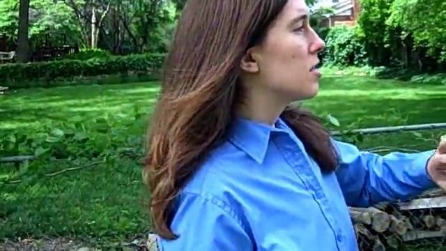 How-To: All Seasons Indoor Composter Guide смотреть онлайн