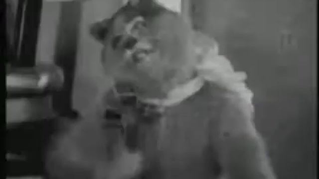 Мышь Эпилептик и Кот Мистификатор