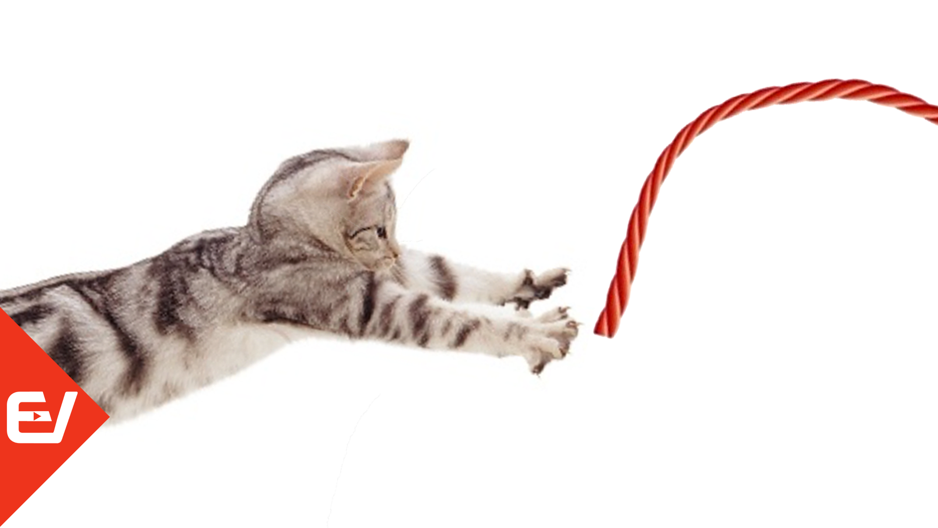 〰️ Ниточка. Игры для кошек! 〰️ смотреть онлайн