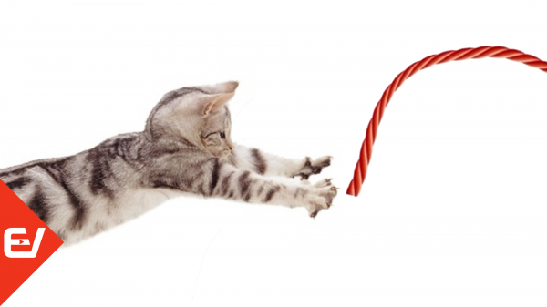 〰️  Ниточка. Игры для кошек! 〰️