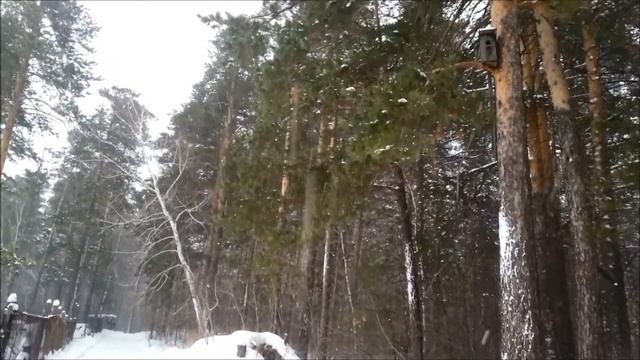 Совет сердца. Татьяна Логиповская смотреть онлайн