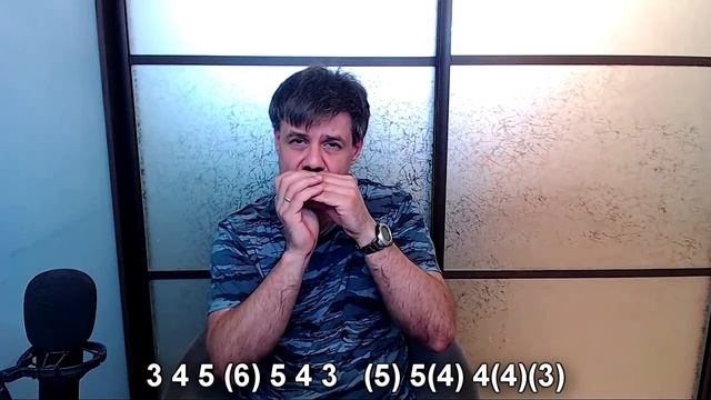 Махнем не глядя на губной гармошке