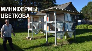 Миниферма Цветкова А.А. Устройство минифермы для кроликов