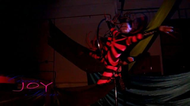 Circus Show JOY, Татьяна Пучкова - создатель, партерное кольцо, оригинальный жанр смотреть онлайн