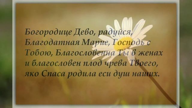 6 ноября праздник Божией Матери "Всех скорбящих радость". Что нельзя делать. Приметы и традиции смотреть онлайн