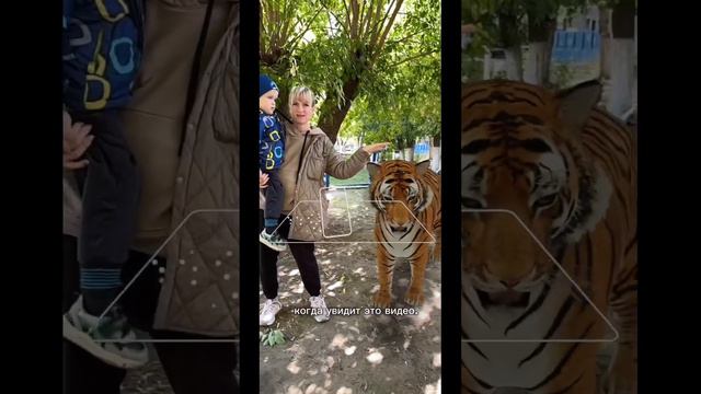 3D животные😂👍 #семейныйблог #cutebaby #развитие смотреть онлайн