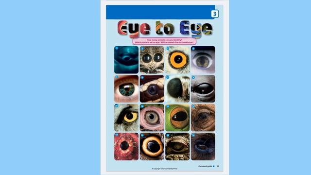 English Plus 6. Module 3. Animals. смотреть онлайн